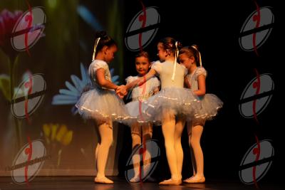 SHOW_02002.jpg